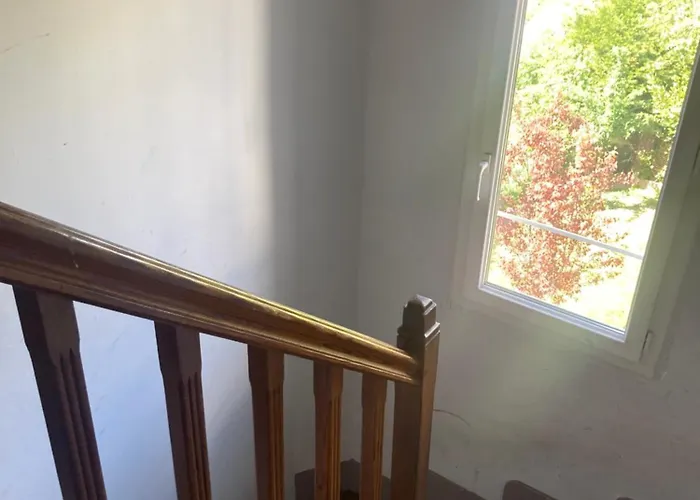 Проживання в сім'ї Sky Руан